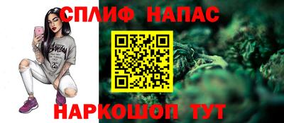 стафф Заводоуковск