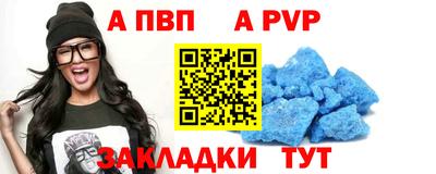 стафф Заводоуковск