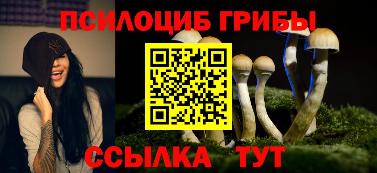 Галлюциногенные грибы MAGIC MUSHROOMS Луга